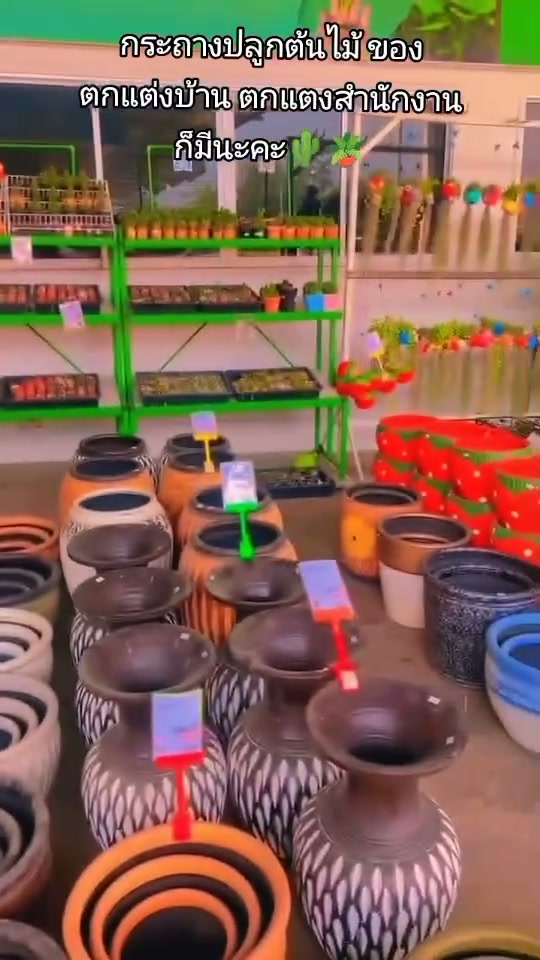 ต้นไม้จะสวย ต้องคู่กับกระถางดี ๆ